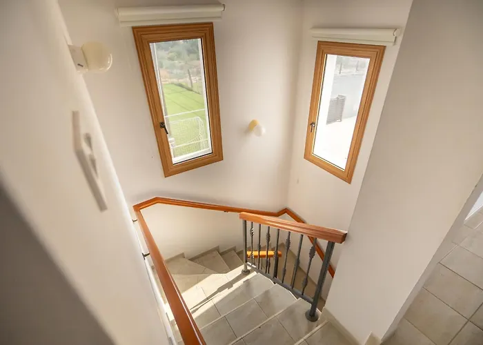 Konnos 1 * プロタラス